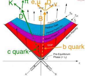 Heavy Flavors in Heavy Ions Heavy quarks produced early: initial hard parton collision Total charm/bottom yield is conserved throughout QGP evolution in AA collisions m c, m b >>