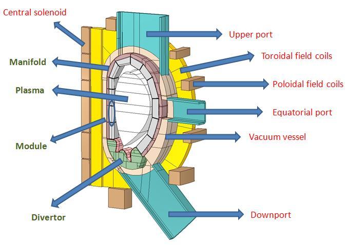 Pág. 22 Memoria Figure 4.7 Cross-section of a typical DEMO tokamak indicating the main components ( Ref.