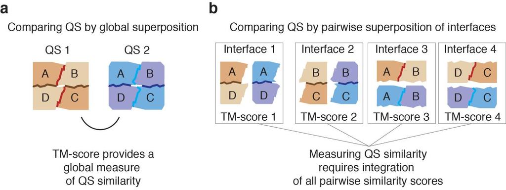 Supplementary Figure 1 Measuring quaternary structure similarity using global versus local measures.