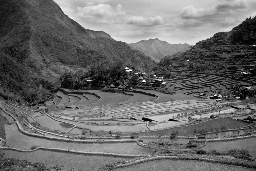 Unit 2 Mathematical Induction https://commons.wikimedia.org/wiki/file%3abatad rice terraces in Ifugao.jpg By Ericmontalban (Own work) [CC BY-SA 3.0 (http://creativecommons.org/licenses/by-sa/3.