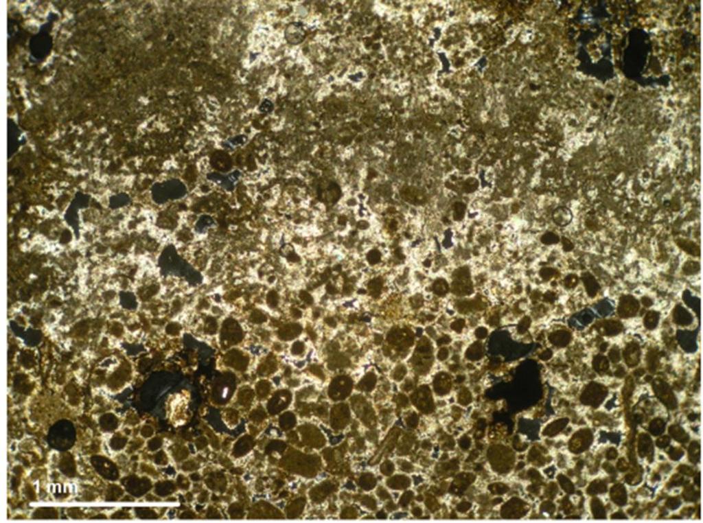 A158 Photo 1: Ooidal and peloidal carbonate matrix within lower half of image,