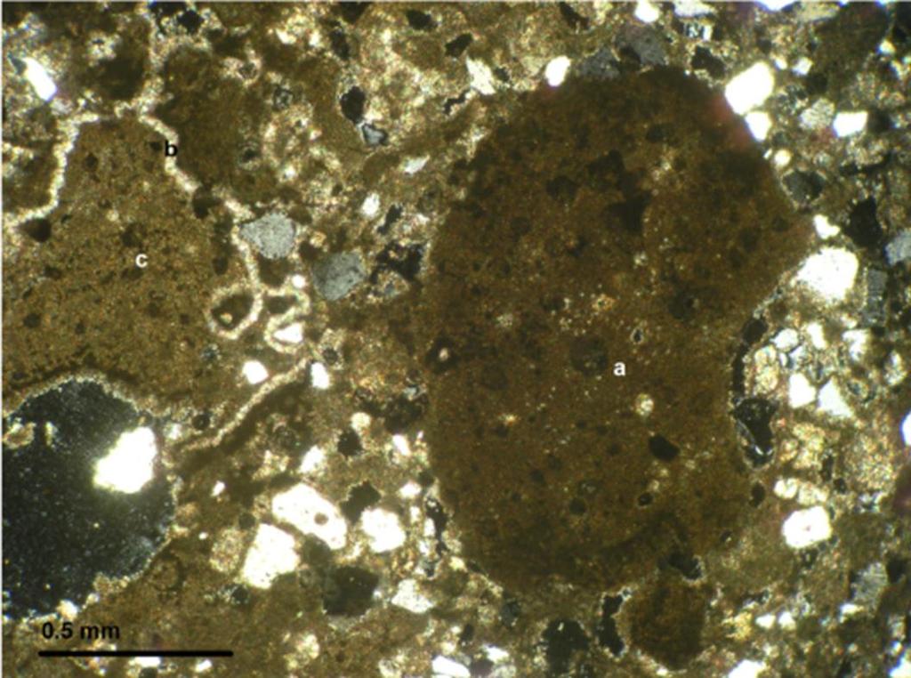 Photo 4: Carbonate clast or lump (a) within clotted carbonaceous mud and micrite matrix.