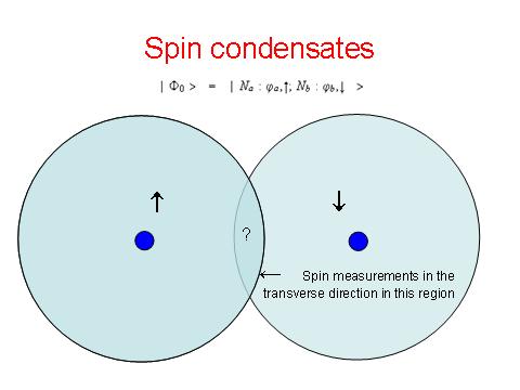 5. Spin condensates: Alice Bob F. Laloë, EPJD 33, 87-97 (2005).