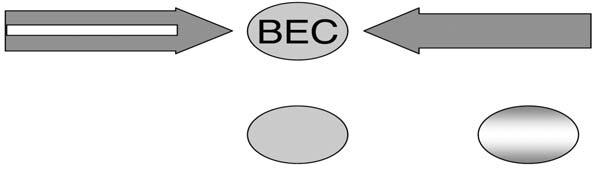 2-component BEC by rf and