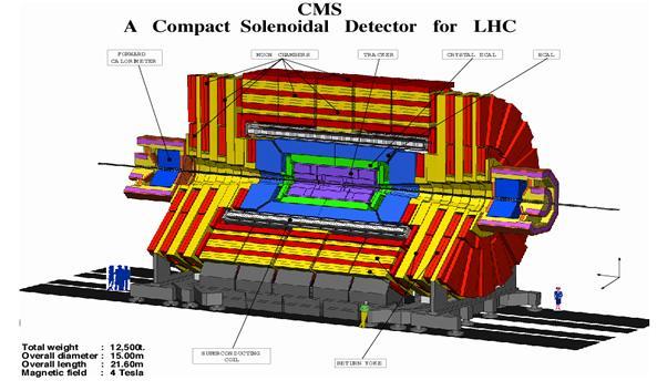 7 TeV LHC