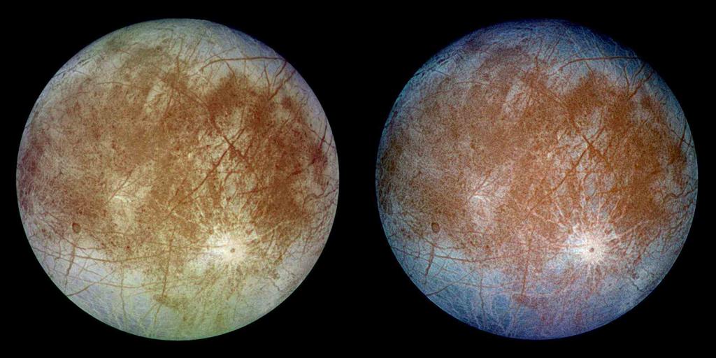 Europa and the origins of life in the universe