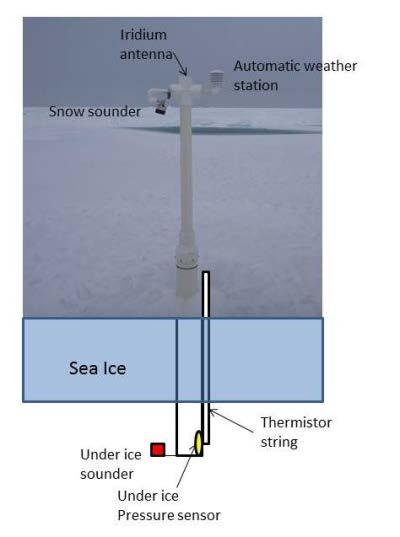 Sea ice dynamics International