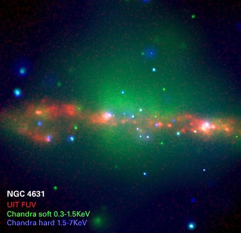 X-raying galactic feedback in nearby disk