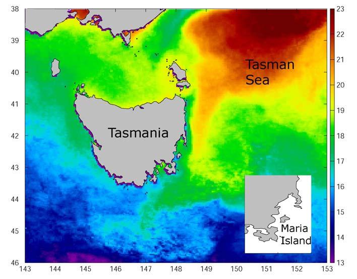 Long term Record at Maria Island 60-year time series at Maria Island Seasonal to long-term record of EAC flow Temperature Salinity 18 16 14 12 12 10 10 (a) 35. 35. 6 35. 35. 4 35. 2 35. 2 35.0 35 34.