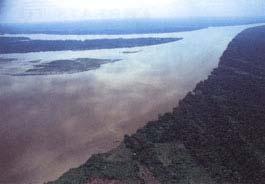 Amazon River The Amazing Amazon River!