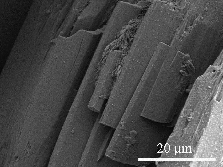 C for 12 h under hydrothermal conditions; (b) SEM