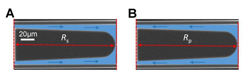 Finally, we investigated the correlation between surface topography and R'. The R' can be tailored by varying sizes in the cavity length or width (fig.