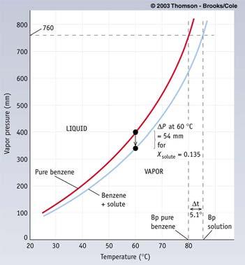 Vapour Pressure of Solutions The figure at the right shows vapour pressure curves for pure benzene (in red) and