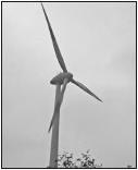 Wind turbines are also used to generate electricity. The wind turns the turbine blades and the turbine blades turn a generator. Use words from the box opposite.