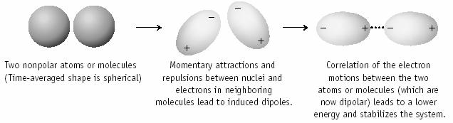 - δ FRCES INVLVING INDUCED DIPLES Formation of a dipole in two nonpolar I 2