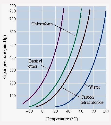 Vapor pressure of liquids Clausius Clapeyron equation Any point on one of the curves represents a condition in which the liquid and the vapor exist together in equilibrium.