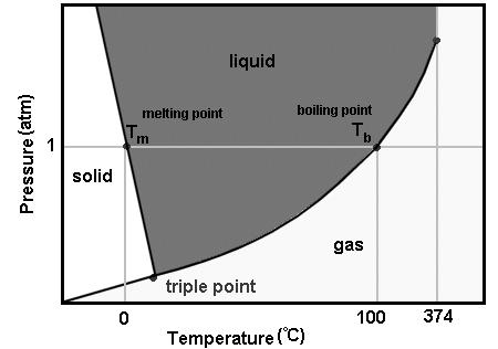 PHASE DIAGRAMS The relationships among the solid, liquid, and vapor states or phases of a substance in a sealed container are best represented in a single graph called a phase diagram Phase