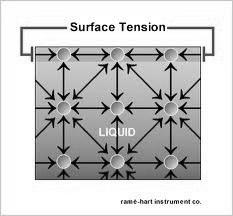 The inward pull from particles on the inside. The stronger the attraction between particles, the greater the surface tension.