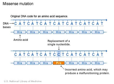 Recombination Mutations Mutations = random changes