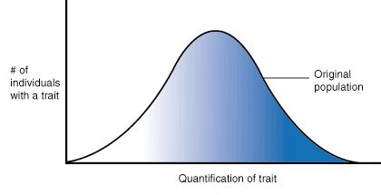 Normal Distribution Definition: Bell-shaped curve.
