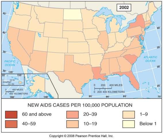 New AIDS Cases, 2002