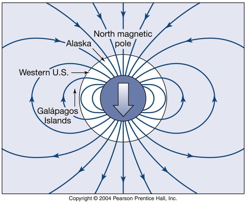 Convection in Earth s core creates electric currents that induce magnetic fields called a dynamo.