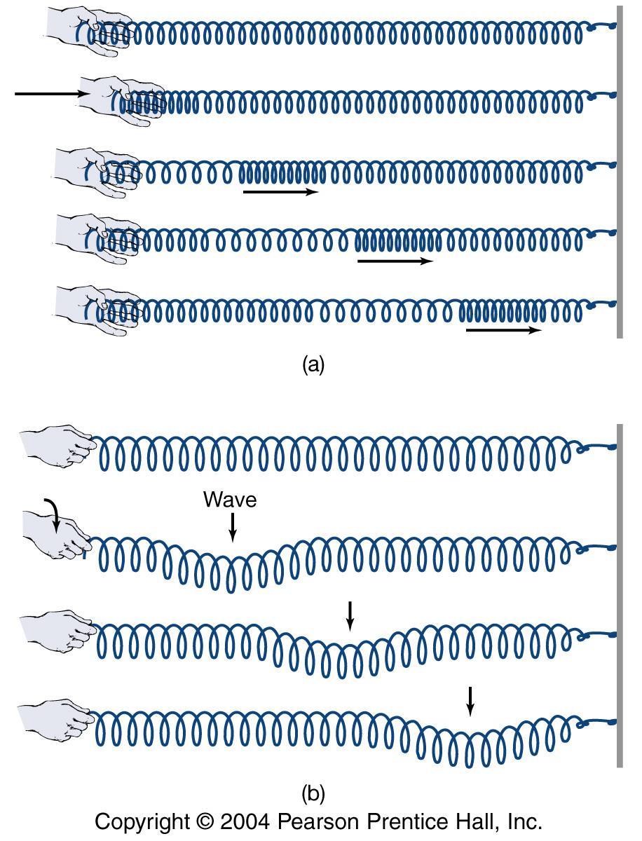 Waves generated by earthquakes are analogous to waves on spring (or slinky ) Compression or body waves
