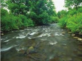 C.3 Defining Watercourses Watercourses are defined in Section 28(5) of the Conservation Authorities Act as: Defining Watercoures Watercourse means an identifiable depression in the ground in which a