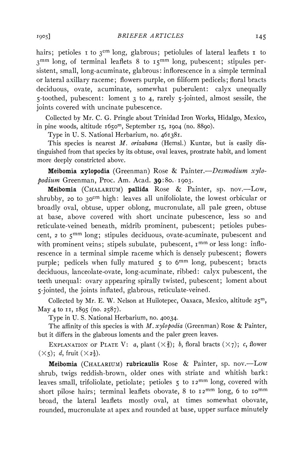 1905] BRIEFER ARTICLES I45 hairs; petioles I to 3cm long, glabrous; petiolules of lateral leaflets i to 3mm long, of terminal leaflets 8 to I5mm long, pubescent; stipules persistent, small,