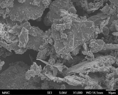 Fig. : SEM images of aluminosilicate SWNT bundles. The white scale bars represent 0 µm (left) and µm (right). for 4 days.