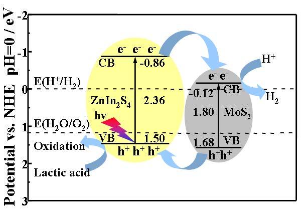 Bo Chai et al. / Chinese Journal of Catalysis 38 (2017) 2067 2075 2073 photogenerated electrons to the back contact and photogenerated hole capture by electron donors in the electrolyte [60]. In Fig.