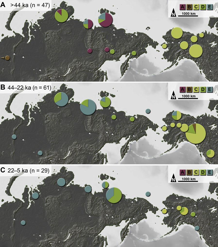 Phylogeography of Holarctic Woolly Mammoths 3 Figure 2.