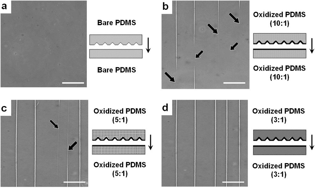 Supplementary Figure 3. Effect of PDMS stiffness on irreversible collapse of nanochannels.