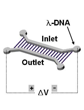 EDTA buffer was electrophoretically introduced into relaxed nanochannels