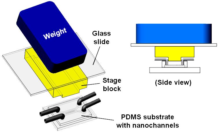 Fabrication of sealed elastomeric nanochannels: PDMS nanochannels were fabricated by curing PDMS prepolymer with a base-to-curing agent ratio of 3:1 against the epoxy master at 60 C for 4 hours.
