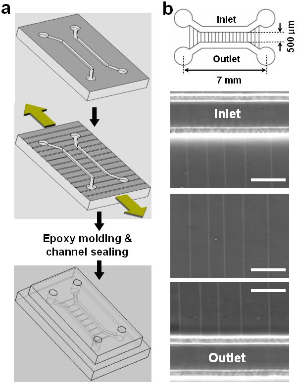 Supplementary Figure 2. Fabrication of elastomeric nanochannels integrated with microscale inlet and outlet compartments.