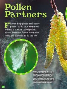 Pollen Partners pp. 14 17, Expository Nonfiction, Activity Use this article to help students obtain information about how different kinds of are pollinated.