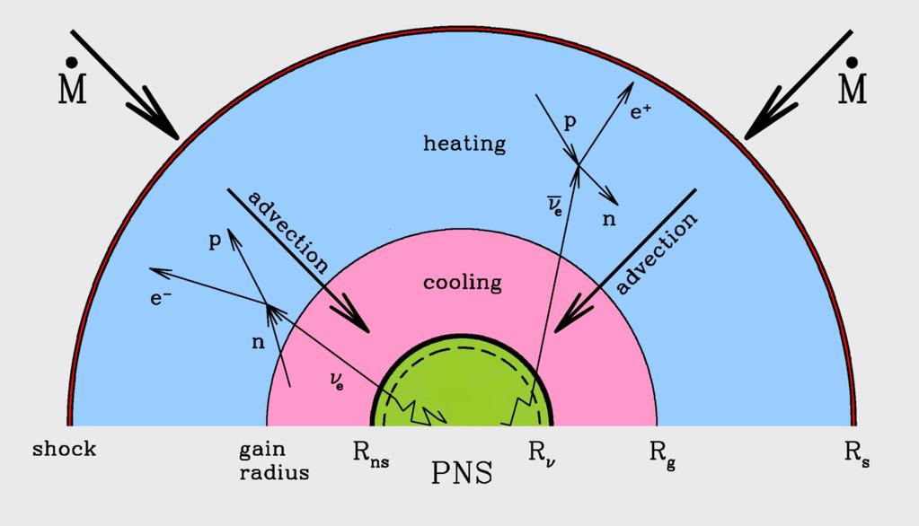 Neutrinos Rejuvenating Stalled Shock Neutrino heating increases