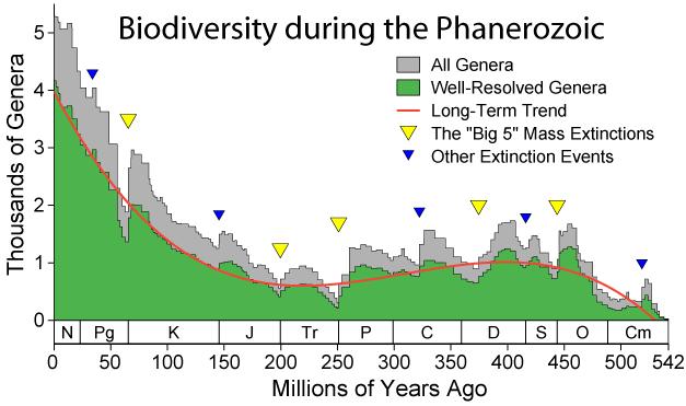 10.8 A brief history of the Phanerozoic The post-cambrian explosion period is characterised by a long-term increase in biodiversity.