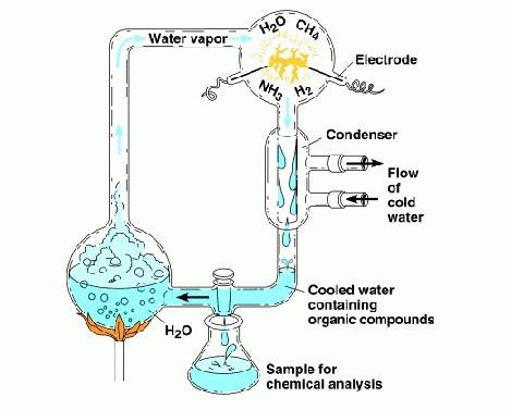 The Miller-Urey experiment in 1953 sought to reproduce conditions of a young Earth Life from Non-life An 'atmosphere' of water, ammonia