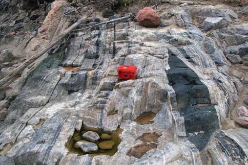 Falls, Manitoba; c) greywacke with veins of leucosome that are subparallel to bedding; d) white quartzite of unknown