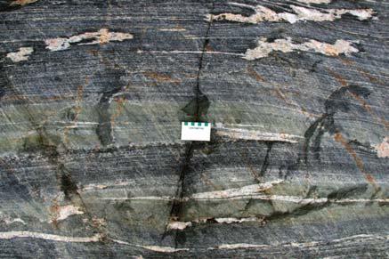 calcsilicate band in banded amphibolite; g) possible hybridized
