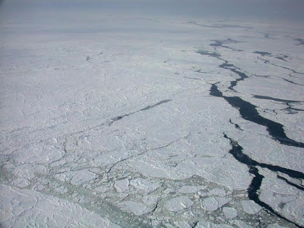 Sea-ice change around Alaska & Impacts on Human Activities Hajo Eicken Geophysical Institute University of Alaska Fairbanks, hajo.eicken@gi.alaska.