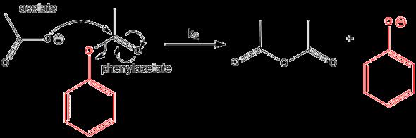 The products are acetic anhydride and phenolate.