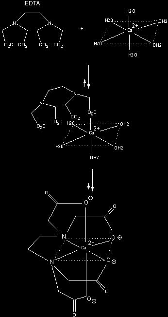 Calcium in solution exists as a octahedrally coordinated complex with water occupying all the coordination sites.