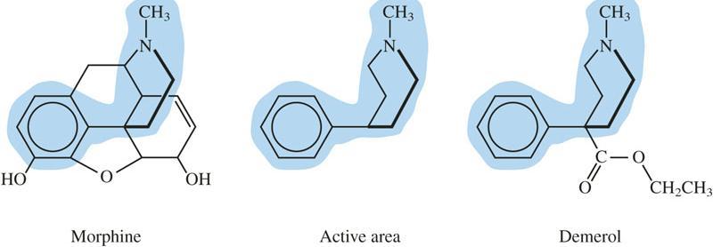 The functional groups and their placement in three-dimensional space determines to a large degree a molecule s