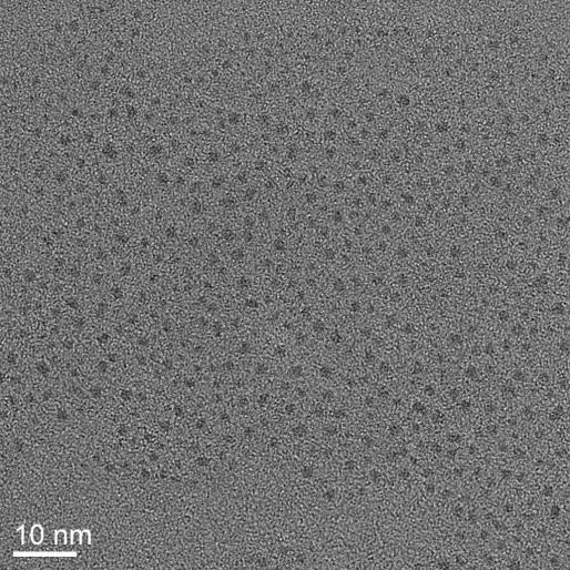 = 3.1 0.5 nm Figure S1. Size measurement of AuAgGSH solution by dynamic light scattering (on the left) and by transmission electron microscopy (on the right).