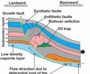 A footwall trap can be mapped along this arcuate trend Xline 2860 gas anomalies Noa #1 Noa West Lobe Noa North Oil anomalies Oil anomalies Noa NE - 1 Noa NE Rollover Anticline gas anomalies Oil