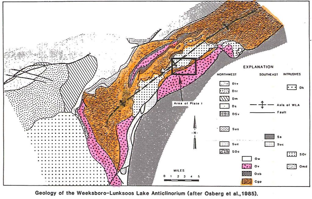 Pickett Mountain Property Regional Geologic Setting Grand Pitch Formation (Cambrian) Pickett Mountain Zn-Pb-Cu-Ag Deposit WeeksboroLunksoos Lake Anticlinorium Area of Planned Airborne Geophysical