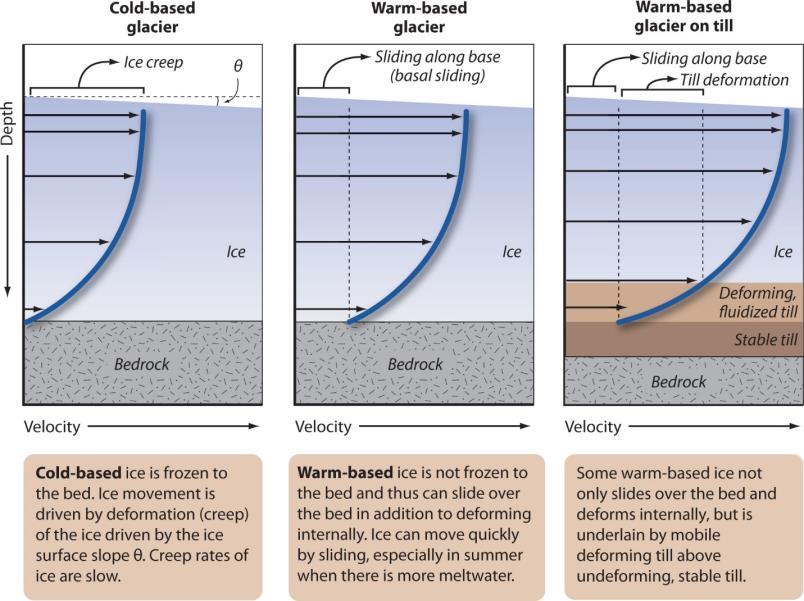 Role temperature plays in glacial movement Mass balance: Anatomy of a glacier Although it is convenient to break glaciers into two groups (warm